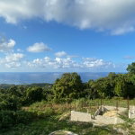 First image of Friendship Grove in Friendship, Hanover, Jamaica - property is For Sale