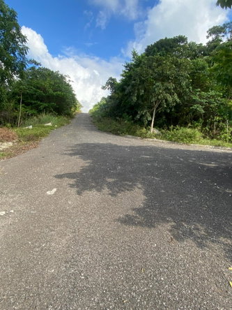 Seventh image of Friendship Grove in Friendship, Hanover, Jamaica - property is For Sale