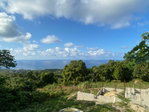 First image of Friendship Grove in Friendship, Hanover, Jamaica - property is For Sale