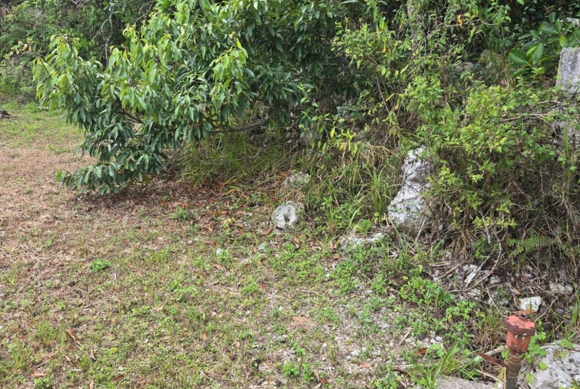 Second image of Lot 38- Ridge Mount Drive in Mandeville, Manchester, Jamaica - property is For Sale