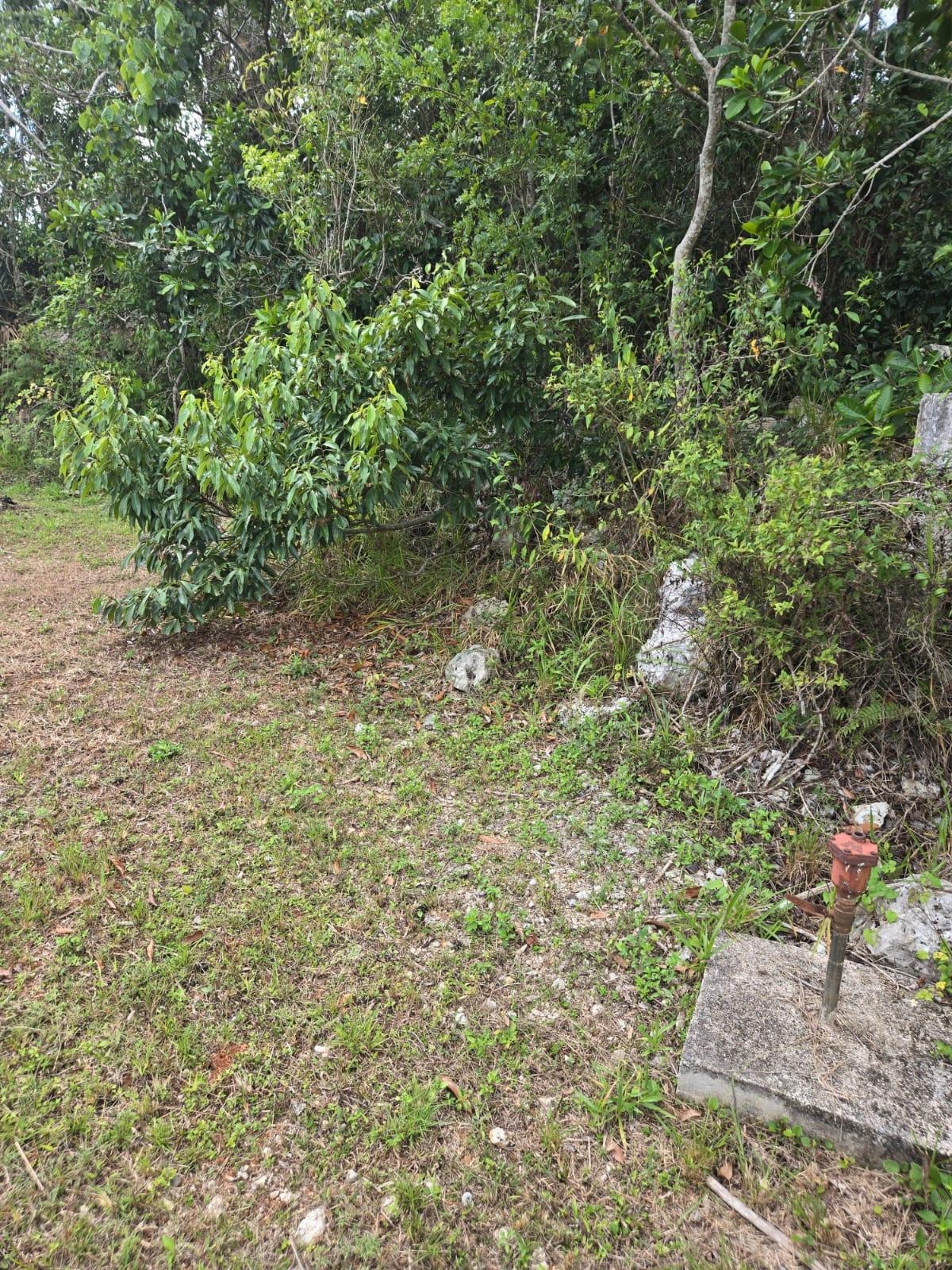 Second image of Lot 38- Ridge Mount Drive in Mandeville, Manchester, Jamaica - property is For Sale
