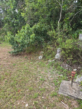 Second image of Lot 38- Ridge Mount Drive in Mandeville, Manchester, Jamaica - property is For Sale