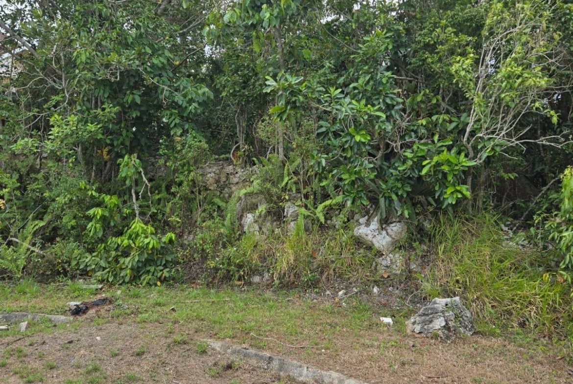 Third image of Lot 38- Ridge Mount Drive in Mandeville, Manchester, Jamaica - property is For Sale