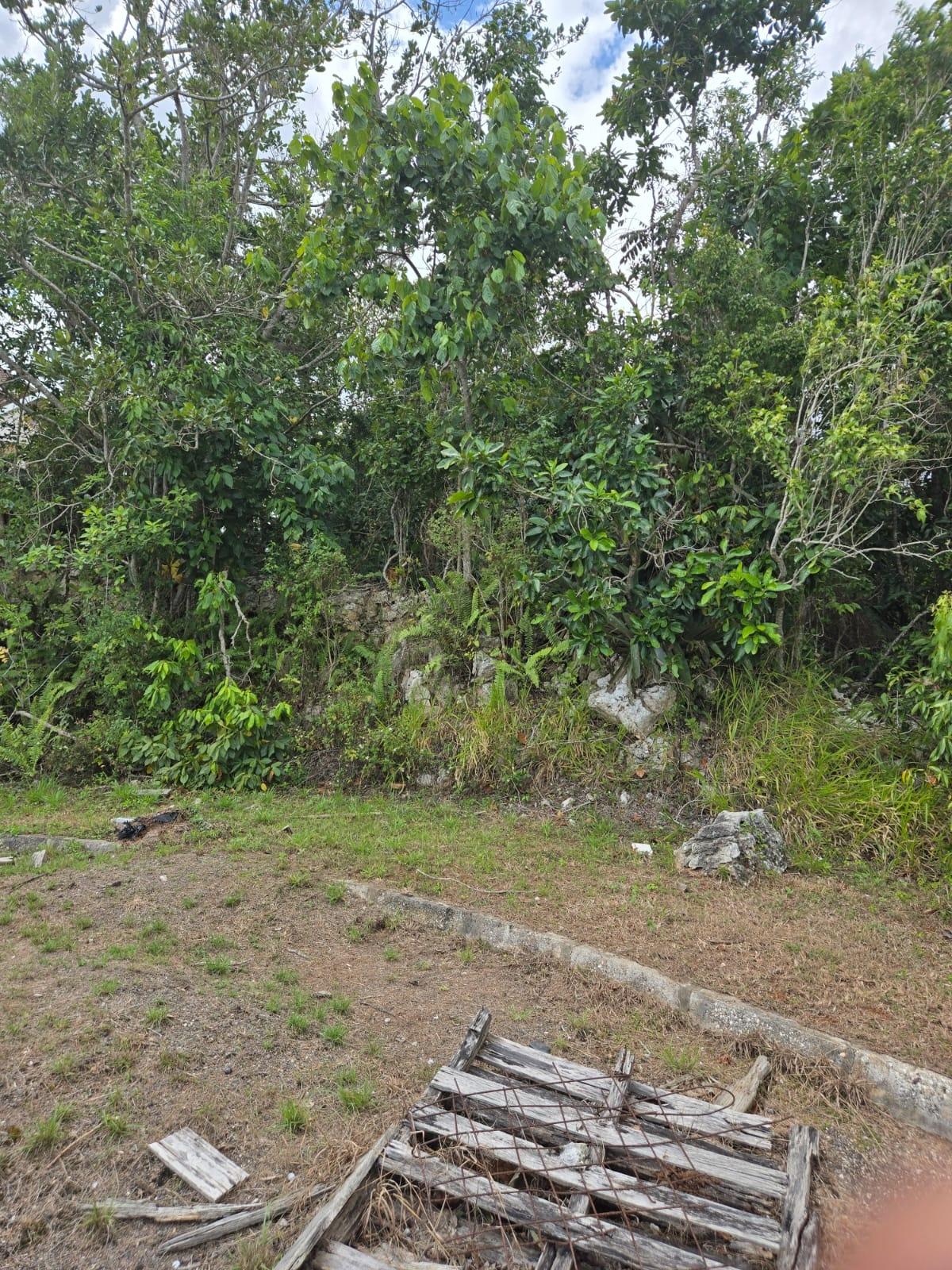 Third image of Lot 38- Ridge Mount Drive in Mandeville, Manchester, Jamaica - property is For Sale
