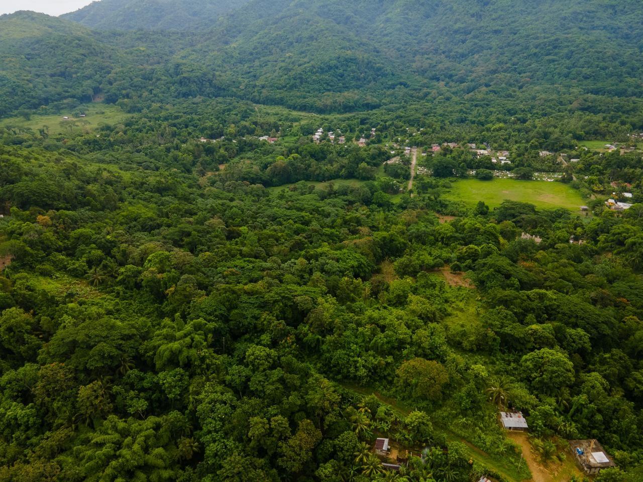 Sixth image of Enfield- St. Mary in Fort Stewart, St. Mary, Jamaica - property is For Sale