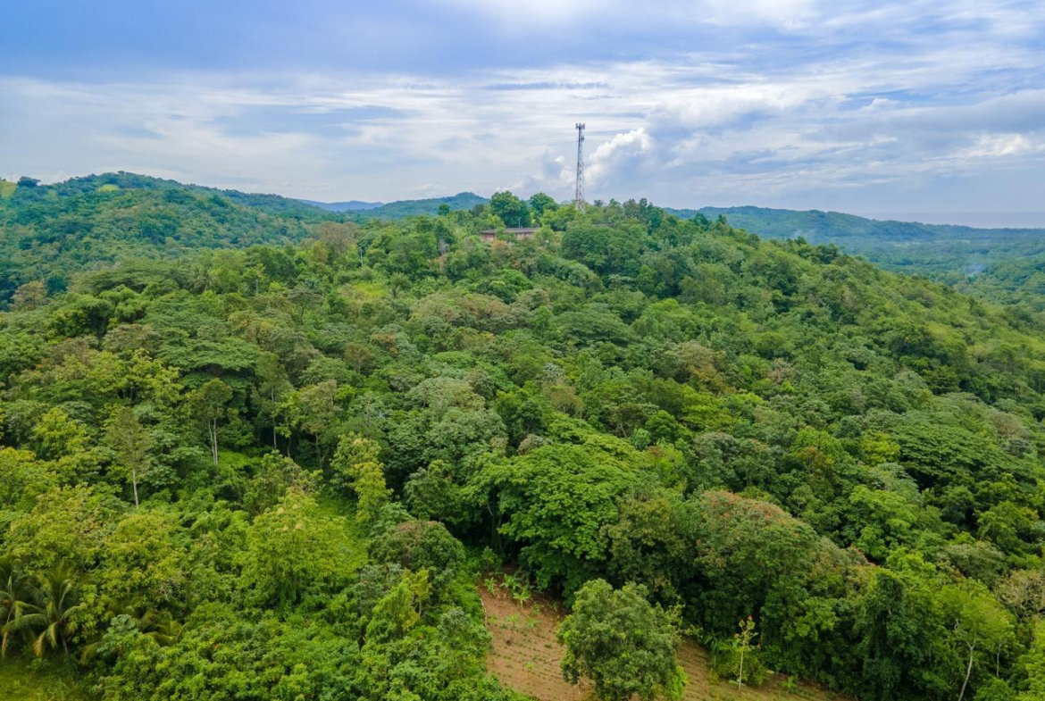 Seventh image of Enfield- St. Mary in Fort Stewart, St. Mary, Jamaica - property is For Sale