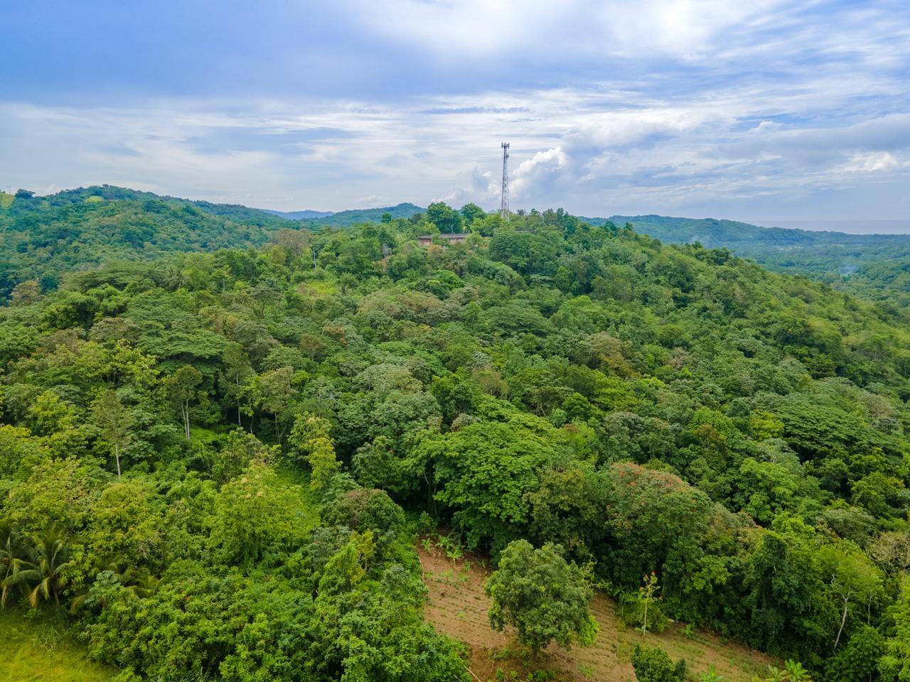 Seventh image of Enfield- St. Mary in Fort Stewart, St. Mary, Jamaica - property is For Sale