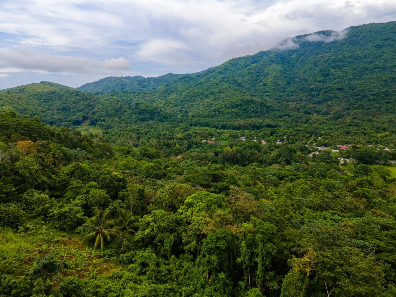 Eighth image of Enfield- St. Mary in Fort Stewart, St. Mary, Jamaica - property is For Sale