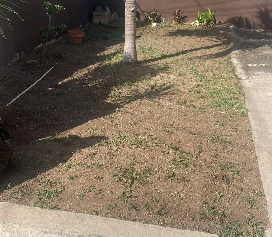 Fifteenth image of 51 Harbour Drive in Kingston 17, St. Andrew, Jamaica - property is For Sale