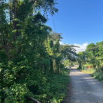 First image of 67 Rose Hall in Palmetto Meadows, Clarendon, Jamaica - property is For Sale