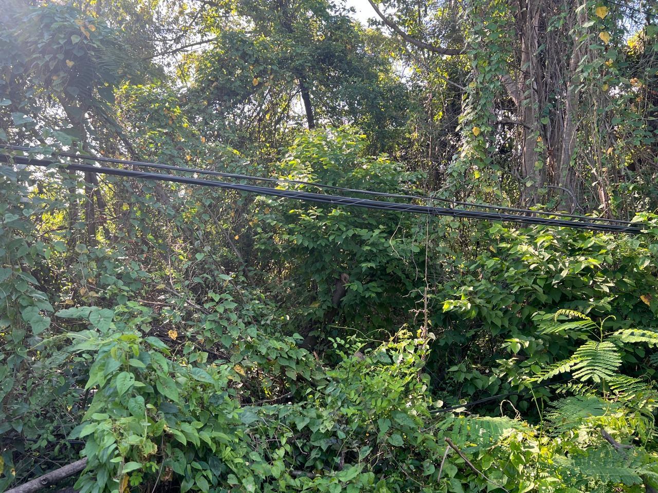 Third image of 67 Rose Hall in Palmetto Meadows, Clarendon, Jamaica - property is For Sale