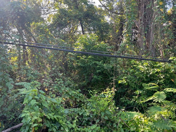 Third image of 67 Rose Hall in Palmetto Meadows, Clarendon, Jamaica - property is For Sale