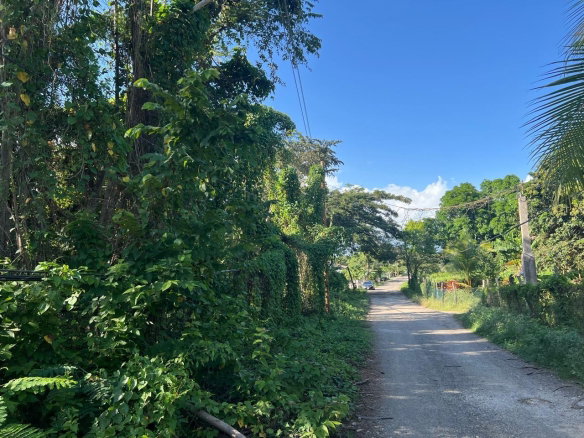 First image of 67 Rose Hall in Palmetto Meadows, Clarendon, Jamaica - property is For Sale