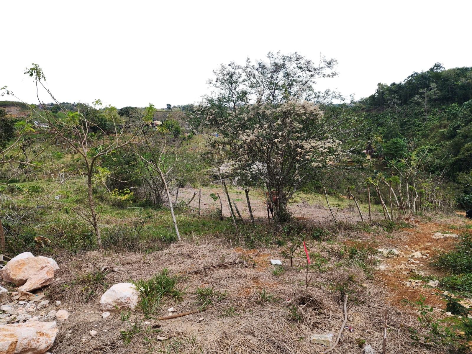 Fourth image of Spitzbergen in Christiana, Manchester, Jamaica - property is For Sale