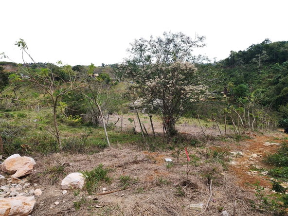 Fourth image of Spitzbergen in Christiana, Manchester, Jamaica - property is For Sale