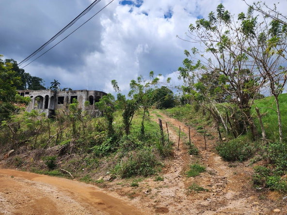 Fifth image of Spitzbergen in Christiana, Manchester, Jamaica - property is For Sale