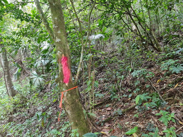 Second image of Cavaliers, st Andrew in Cavaliers P.A., St. Andrew, Jamaica - property is For Sale