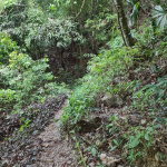 First image of Cavaliers, st Andrew in Cavaliers P.A., St. Andrew, Jamaica - property is For Sale