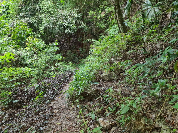 Eighth image of Cavaliers, st Andrew in Cavaliers P.A., St. Andrew, Jamaica - property is For Sale