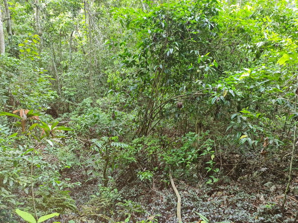 Ninth image of Cavaliers, st Andrew in Cavaliers P.A., St. Andrew, Jamaica - property is For Sale