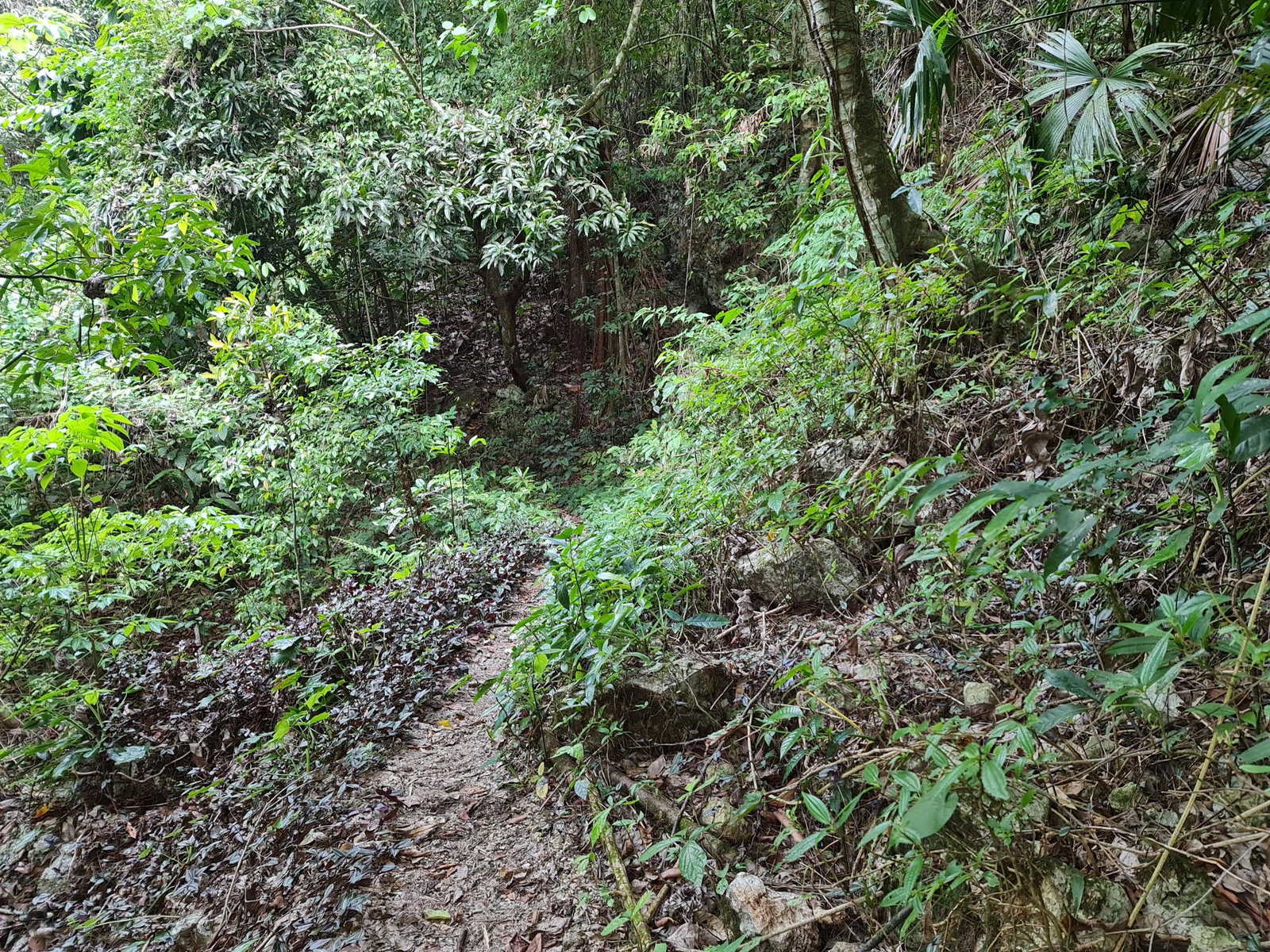 First image of Cavaliers, st Andrew in Cavaliers P.A., St. Andrew, Jamaica - property is For Sale