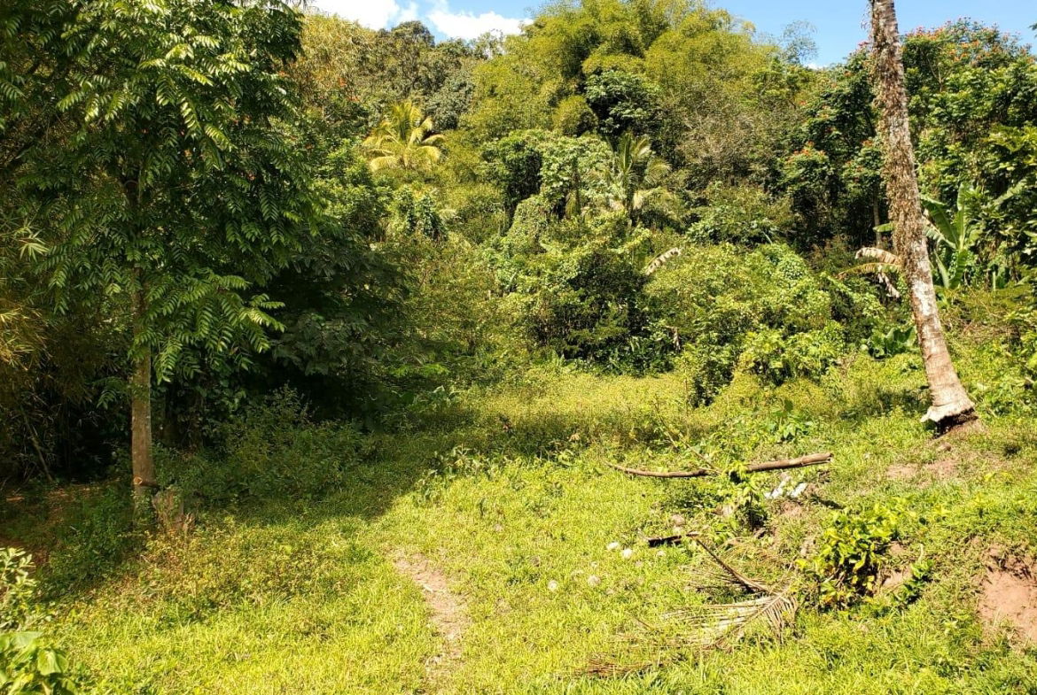 First image of Mount Dakin in Brandon Hill, St. Andrew, Jamaica - property is For Sale
