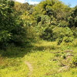 First image of Mount Dakin in Brandon Hill, St. Andrew, Jamaica - property is For Sale