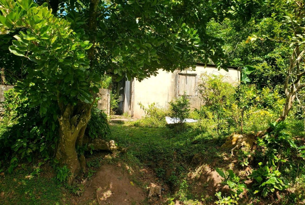 Third image of Mount Dakin in Brandon Hill, St. Andrew, Jamaica - property is For Sale