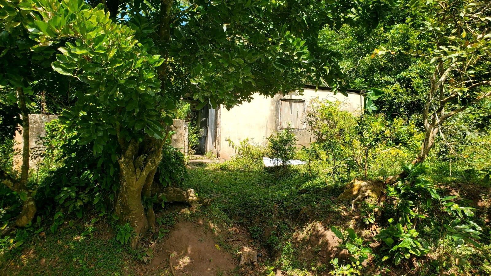 21-Acre-Residential-Development-Land-for-Sale-in-Mount-Dakin-St.-Andrew Third image of Mount Dakin in Brandon Hill, St. Andrew, Jamaica - property is For Sale