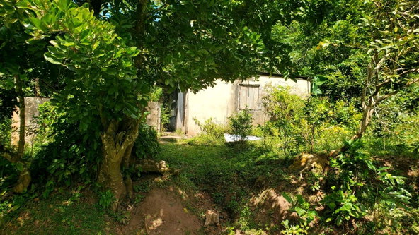 Third image of Mount Dakin in Brandon Hill, St. Andrew, Jamaica - property is For Sale