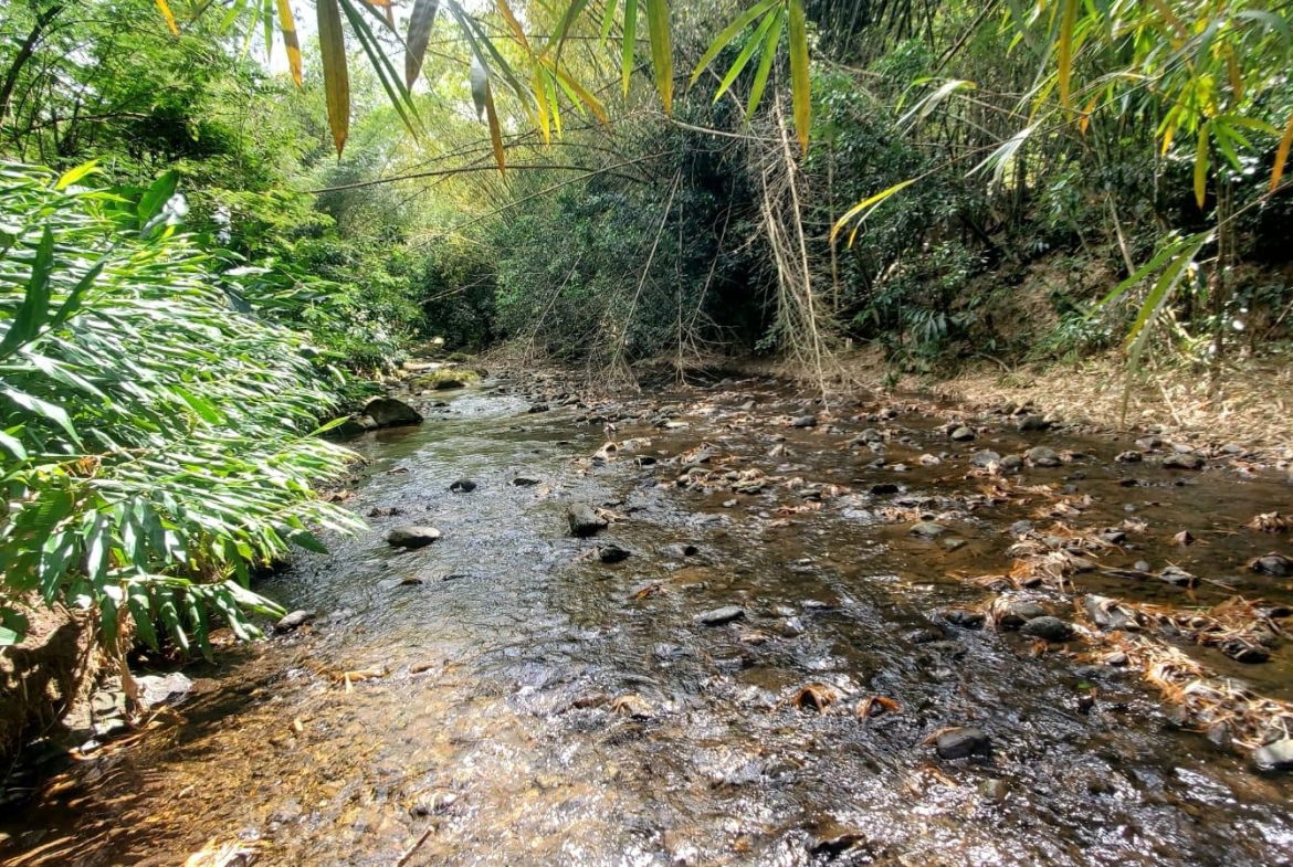 Fourth image of Mount Dakin in Brandon Hill, St. Andrew, Jamaica - property is For Sale