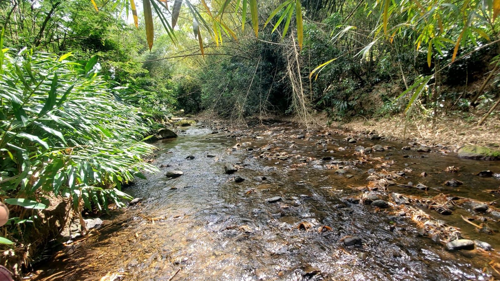 21-Acre-Residential-Development-Land-for-Sale-in-Mount-Dakin-St.-Andrew Fourth image of Mount Dakin in Brandon Hill, St. Andrew, Jamaica - property is For Sale