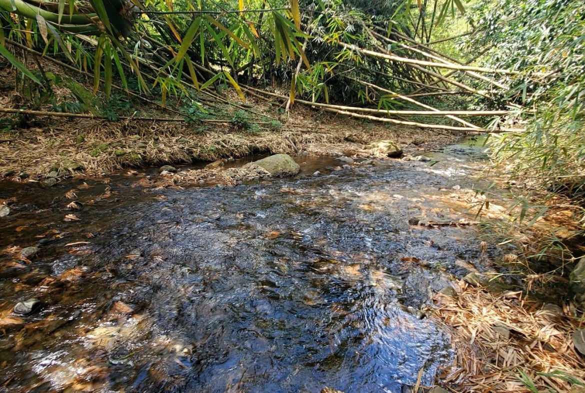 Fifth image of Mount Dakin in Brandon Hill, St. Andrew, Jamaica - property is For Sale