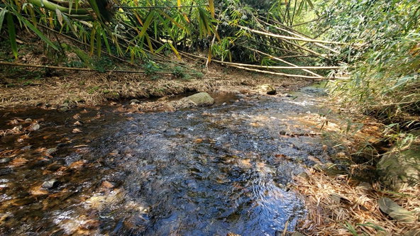 Fifth image of Mount Dakin in Brandon Hill, St. Andrew, Jamaica - property is For Sale