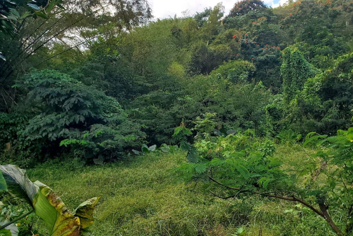 Sixth image of Mount Dakin in Brandon Hill, St. Andrew, Jamaica - property is For Sale