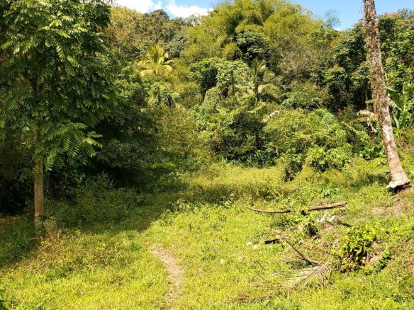 First image of Mount Dakin in Brandon Hill, St. Andrew, Jamaica - property is For Sale