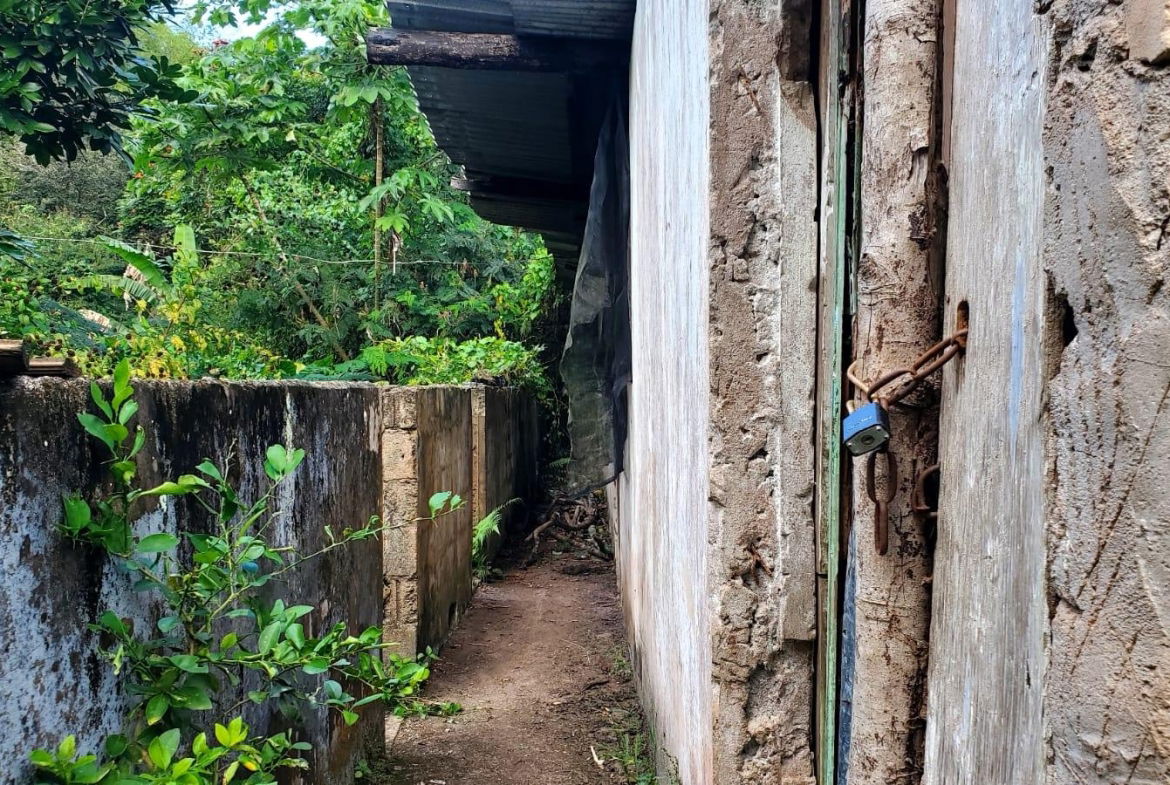 Seventh image of Mount Dakin in Brandon Hill, St. Andrew, Jamaica - property is For Sale