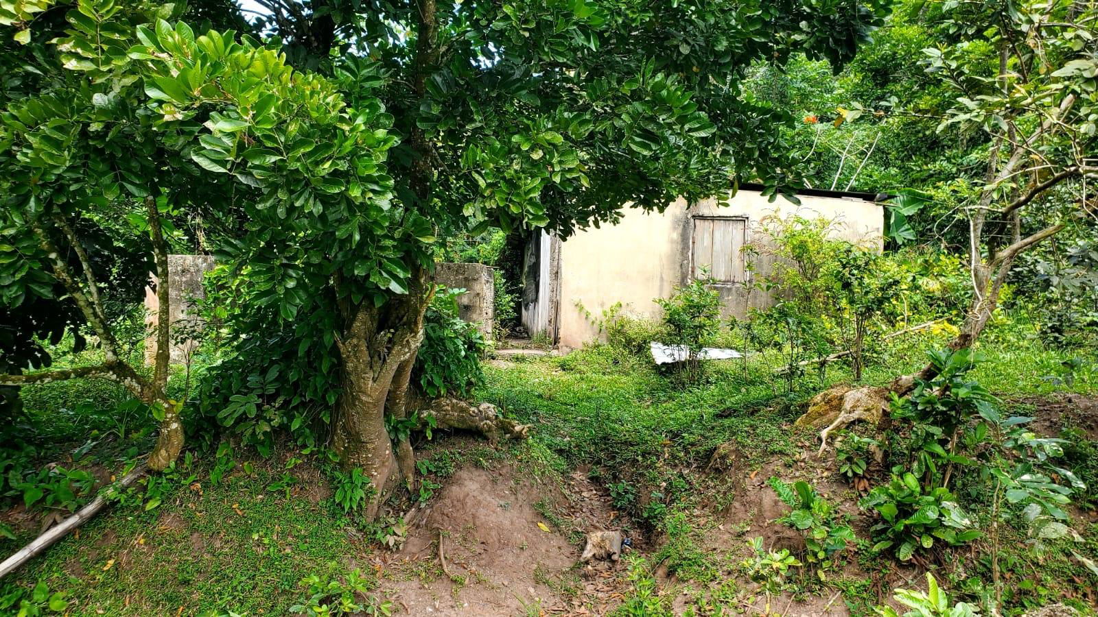 21-Acre-Residential-Development-Land-for-Sale-in-Mount-Dakin-St.-Andrew Eighth image of Mount Dakin in Brandon Hill, St. Andrew, Jamaica - property is For Sale