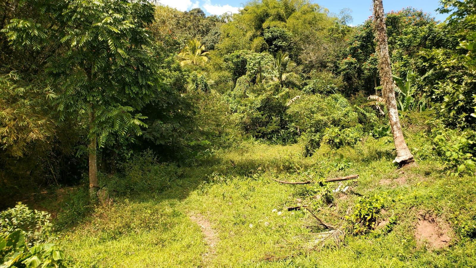 21-Acre-Residential-Development-Land-for-Sale-in-Mount-Dakin-St.-Andrew First image of Mount Dakin in Brandon Hill, St. Andrew, Jamaica - property is For Sale