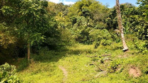 First image of Mount Dakin in Brandon Hill, St. Andrew, Jamaica - property is For Sale