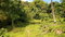 First image of Mount Dakin in Brandon Hill, St. Andrew, Jamaica - property is For Sale