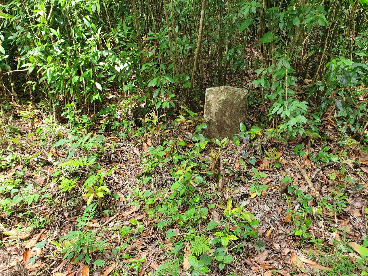 Thirteenth image of 1-3 Pirates Hideout, Cold Har in SAN SAN, Portland, Jamaica - property is For Sale