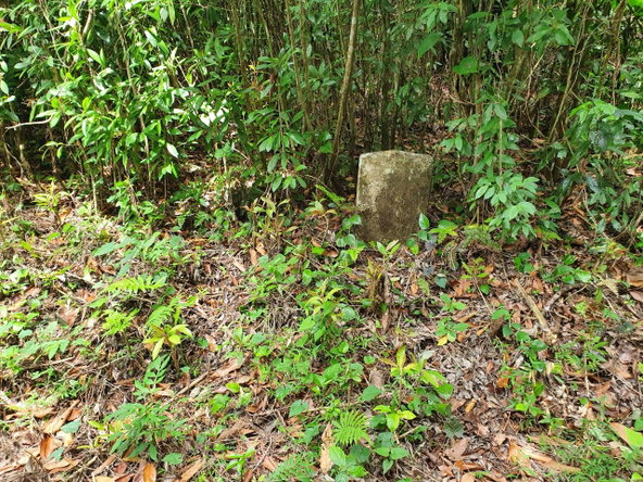 Thirteenth image of 1-3 Pirates Hideout, Cold Har in SAN SAN, Portland, Jamaica - property is For Sale