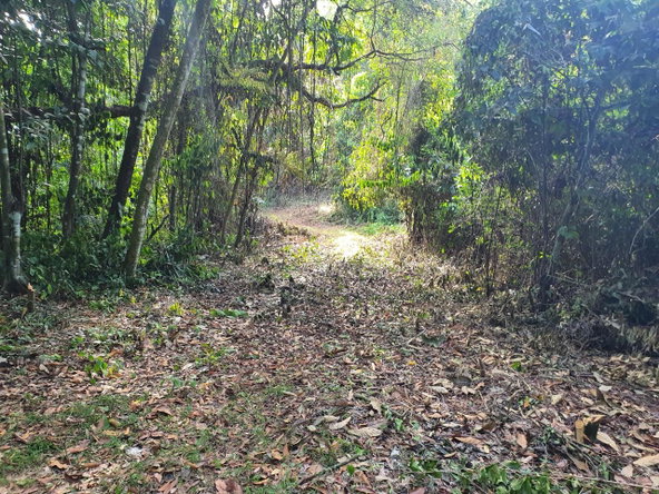 Fourteenth image of 1-3 Pirates Hideout, Cold Har in SAN SAN, Portland, Jamaica - property is For Sale