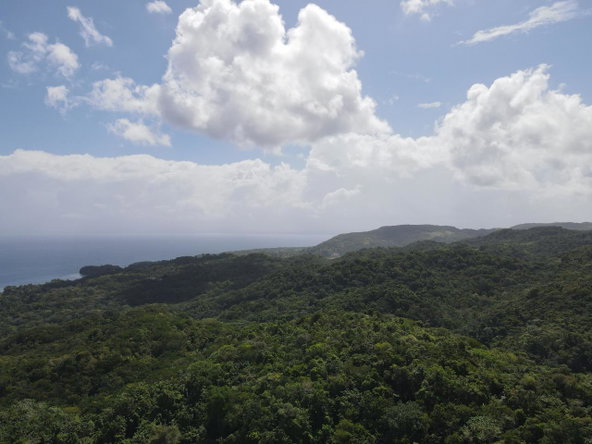 Fourth image of 1-3 Pirates Hideout, Cold Har in SAN SAN, Portland, Jamaica - property is For Sale