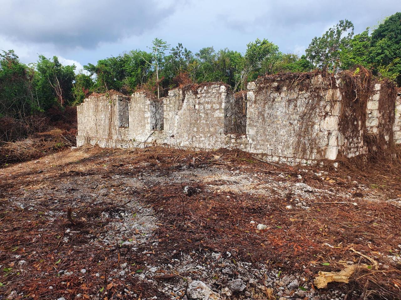 Fifth image of 1-3 Pirates Hideout, Cold Har in SAN SAN, Portland, Jamaica - property is For Sale