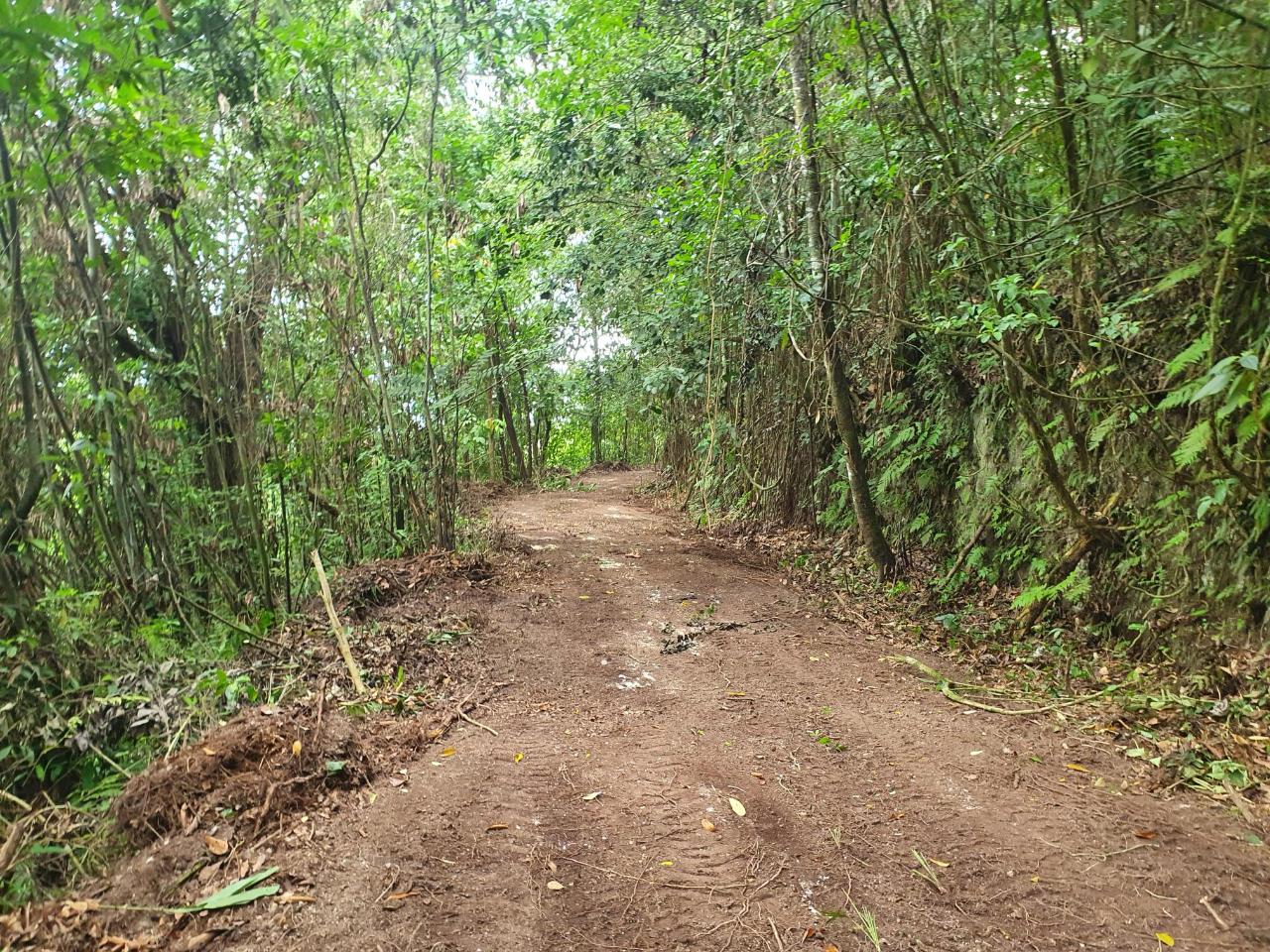 Eighth image of 1-3 Pirates Hideout, Cold Har in SAN SAN, Portland, Jamaica - property is For Sale