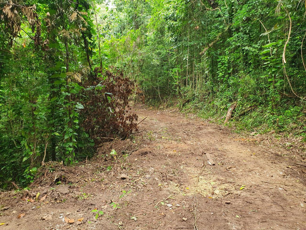Ninth image of 1-3 Pirates Hideout, Cold Har in SAN SAN, Portland, Jamaica - property is For Sale