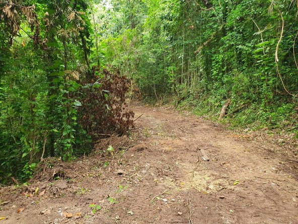 Ninth image of 1-3 Pirates Hideout, Cold Har in SAN SAN, Portland, Jamaica - property is For Sale