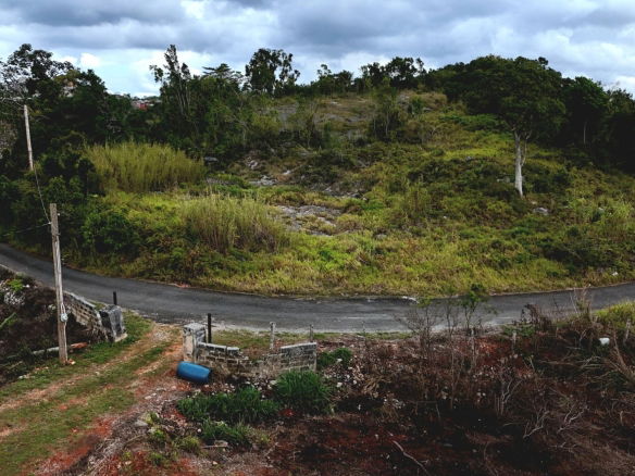 First image of Lot 25 Hopeton Pen in Mandeville, Manchester, Jamaica - property is For Sale